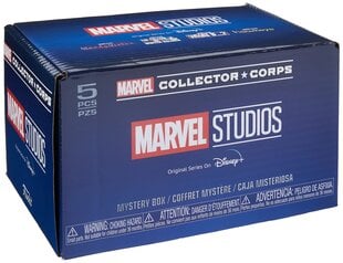 Dėžutė staigmena Marvel Studios Collectors Corps Disney+ Mistery Box цена и информация | Игрушки для мальчиков | pigu.lt