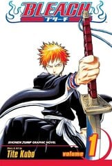 Komiksas Manga Bleach Vol 1 kaina ir informacija | Komiksai | pigu.lt