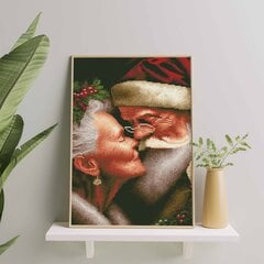 Алмазная Мозаика на Раме Санта Клаус 5D Diamond Painting Oh Art! 40x50 cm цена и информация | Алмазная мозаика | pigu.lt