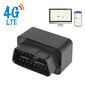 4G GPS sekiklis Sinotrack OBD mini цена и информация | Automobilių 12V el. priedai | pigu.lt