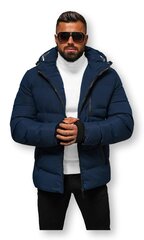 Мужская куртка 903011 01, t.s-2 цена и информация | Мужские куртки | pigu.lt