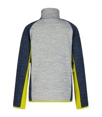 Icepeak džemperis berniukams Krumbach 51741-4*810, pilkas kaina ir informacija | Megztiniai, bluzonai, švarkai berniukams | pigu.lt