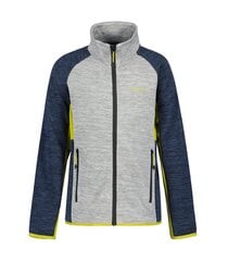 Icepeak džemperis berniukams Krumbach 51741-4*810, pilkas kaina ir informacija | Megztiniai, bluzonai, švarkai berniukams | pigu.lt