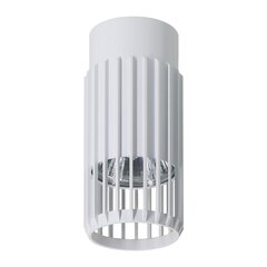 Потолочный светильник Milagro Vertical ML0302 цена и информация | Потолочные светильники | pigu.lt