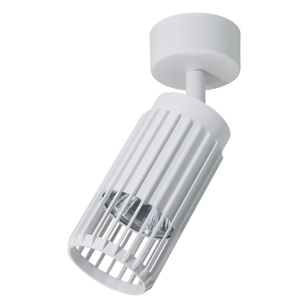 Milagro lubinis šviestuvas Vertical ML0303 kaina ir informacija | Lubiniai šviestuvai | pigu.lt