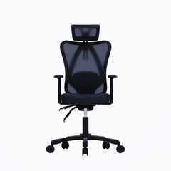 Biuro kėdė Gembird OC-Onyx, juoda kaina ir informacija | Biuro kėdės | pigu.lt