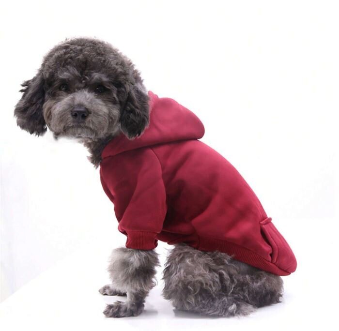 Šuns striukė, 28x35 cm, raudona kaina ir informacija | Drabužiai šunims | pigu.lt