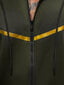 Laisvalaikio kostiumas vyrams Ronex JS/C8117-53259, žalias kaina ir informacija | Sportinė apranga vyrams | pigu.lt