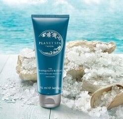 Маска для лица Planet Spa с минералами Мертвого моря, 75 мл, Avon цена и информация | Маски для лица, патчи для глаз | pigu.lt