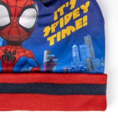 Kepurės ir pirštinių komplektas berniukams Spiderman, įvairių spalvų цена и информация | Kepurės, pirštinės, šalikai berniukams | pigu.lt