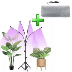 Grow Light 2L4 Fortan M35 цена и информация | Проращиватели, лампы для растений | pigu.lt