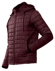 Striukė vyrams Pantoneclo NYLN-004B, raudona цена и информация | Мужские куртки | pigu.lt