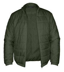 Striukė vyrams Pantoneclo NYLN-015A, žalia цена и информация | Мужские куртки | pigu.lt
