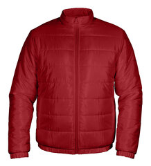 Striukė vyrams Pantoneclo NYLN-015I, raudona цена и информация | Мужские куртки | pigu.lt