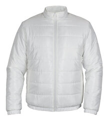 Striukė vyrams Pantoneclo NYLN-015K, balta цена и информация | Мужские куртки | pigu.lt