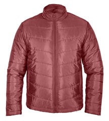 Striukė vyrams Pantoneclo, raudona цена и информация | Мужские куртки | pigu.lt
