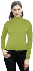 Megztinis moterims Pantoneclo, žalias kaina ir informacija | Megztiniai moterims | pigu.lt