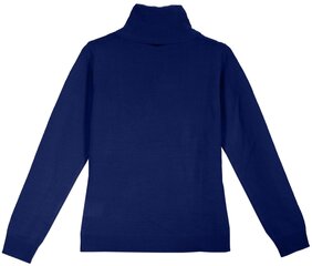 Megztinis moterims Pantoneclo, mėlynas kaina ir informacija | Megztiniai moterims | pigu.lt