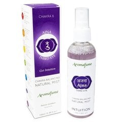 Purškiamas oro gaiviklis Aromafume Ajna 6th Chakra, 100 ml kaina ir informacija | Namų kvapai | pigu.lt