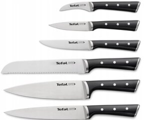 Peilių rinkinys Tefal Ice Force K2320414, 6 vnt. цена и информация | Ножи и аксессуары для них | pigu.lt