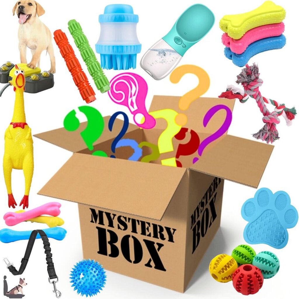 Staigmenų dėžutė Mystery Box šunims, L iki 10 prekių цена и информация | Kitos originalios dovanos | pigu.lt