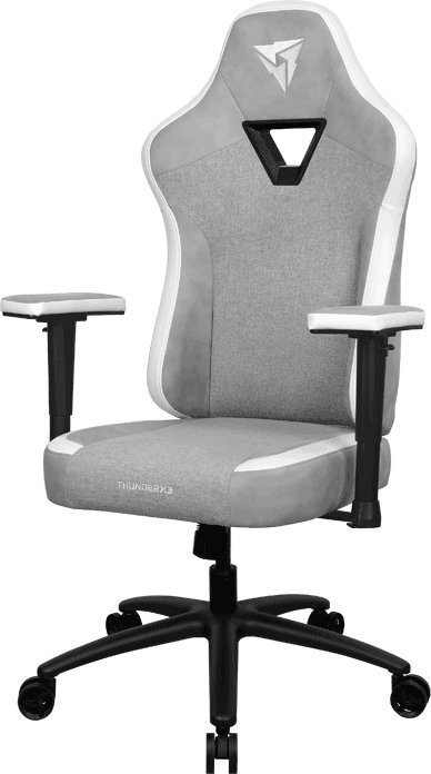 Žaidimų kėdė ThunderX3, pilka/juoda цена и информация | Biuro kėdės | pigu.lt