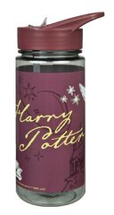 Бутылка Гарри Поттер  500 мл цена и информация | Фляга | pigu.lt