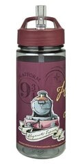 Бутылка Гарри Поттер  500 мл цена и информация | Фляга | pigu.lt