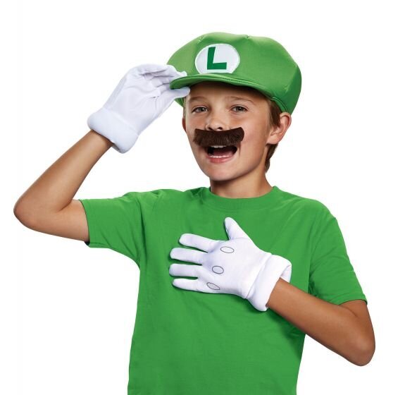 Aksesuarų rinkinys Super Mario Luigi kaina ir informacija | Žaislai berniukams | pigu.lt