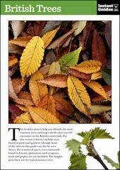 British Trees: The Instant Guide kaina ir informacija | Knygos apie sveiką gyvenseną ir mitybą | pigu.lt