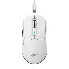 Wireless Gaming Mouse Havit MS969WB цена и информация | Мыши | pigu.lt