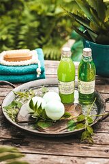 Dušo želė & aliejus kūnui Green Garden Aloe Vera Shover Gel & Oil, 250 ml kaina ir informacija | Dušo želė, aliejai | pigu.lt