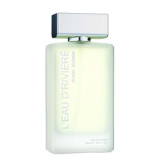 Kvapusis vanduo Fragrance World L'Eau D'Riviere Pour Homme EDP vyrams, 100 ml kaina ir informacija | Kvepalai vyrams | pigu.lt