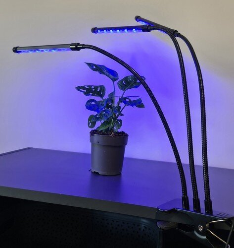 Grow Light 2L3 Fortan M35 kaina ir informacija | Daigyklos, lempos augalams | pigu.lt