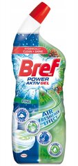 Gelinis WC valiklis BREF Power Aktiv Pine, 700 ml kaina ir informacija | Bref Virtuvės, buities, apyvokos prekės | pigu.lt