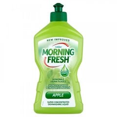 Indų ploviklis Morning Fresh Apple, 450 ml kaina ir informacija | Indų plovimo priemonės | pigu.lt