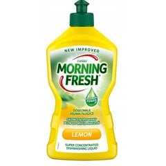 Indų ploviklis Morning fresh Lemon, 450 ml kaina ir informacija | Indų plovimo priemonės | pigu.lt