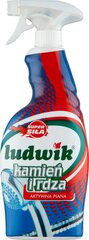 Средство для очистки от накипи и ржавчины Ludwik, 750мл цена и информация | Очистители | pigu.lt