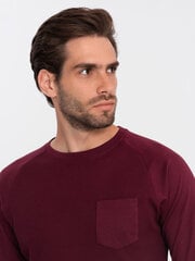 Мужская футболка с горловиной горловины - бордовая V3 S1757 123070-7 цена и информация | Мужские футболки | pigu.lt