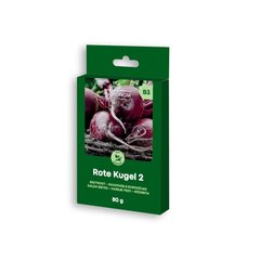 Raudonieji burokėliai Agronom Rote Kugel 2, 80g kaina ir informacija | Daržovių, uogų sėklos | pigu.lt