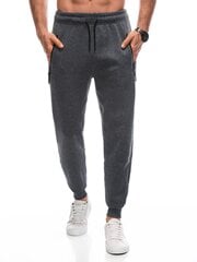 мужские спортивные штаны p1452 - серые цена и информация | Мужская спортивная одежда | pigu.lt