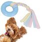 Šunų žaislas Springos PA1064, mėlynas kaina ir informacija | Žaislai šunims | pigu.lt