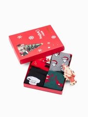 мужские носки x-mas box u408 - микс, 4 шт. 123869-22 цена и информация | Мужские носки | pigu.lt