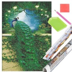 Арт-набор daimond painting Springos DP0047, 30х40 см цена и информация | Набор для рисования по номерам | pigu.lt
