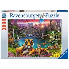 Dėlionė Tigras rojaus lagūnoje Ravensburger, 3000 vnt. kaina ir informacija | Dėlionės (puzzle) | pigu.lt