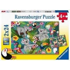 Пазл Ravensburger 2х24 шт., коалы и ленивцы цена и информация | Пазлы | pigu.lt