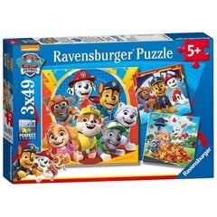 Пазл Ravensburger 3х49 шт., патрульные собаки цена и информация | Пазлы | pigu.lt