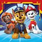 Dėlionė Ravensburger Paw Patrol, 3x49 d. kaina ir informacija | Dėlionės (puzzle) | pigu.lt