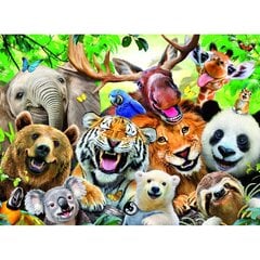 Dėlionė Ravensburger Egzotiškų gyvūnų asmenukė, 300 d. kaina ir informacija | Dėlionės (puzzle) | pigu.lt