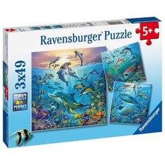 Dėlionė galvosūkis Povandeninis pasaulis Ravensburger 3x49 vnt. kaina ir informacija | Dėlionės (puzzle) | pigu.lt